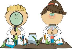 Ciencias Naturales Quinto (B)